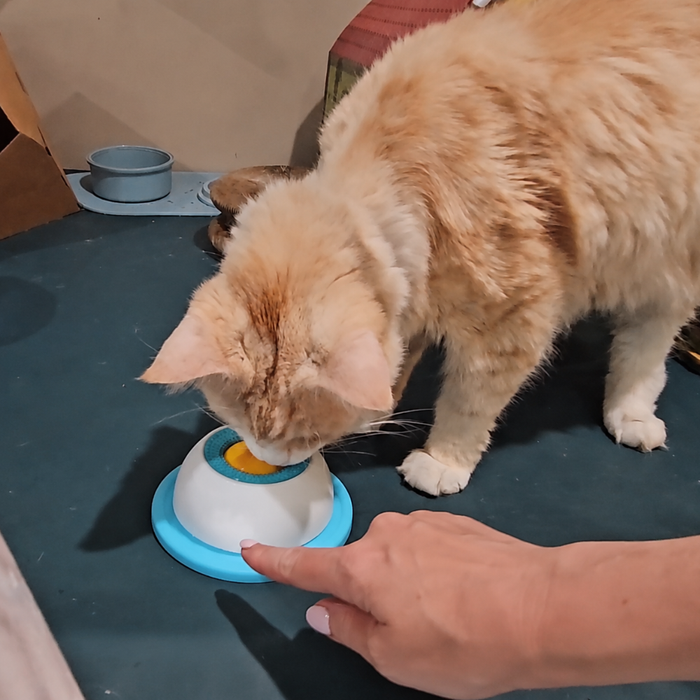 My cat refuses anything new. Will she actually use this?
